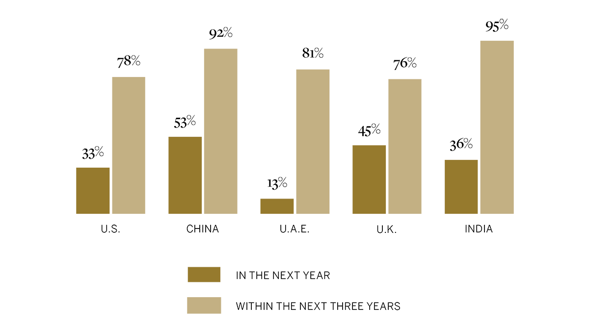 The Emerging Luxury Consumer